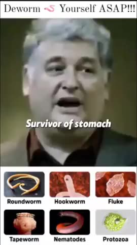 "The Worms Are Peeing - Trying To Get You To Eat Something - Vibration And Frequency Is Everything"