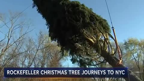 ROCKEFELLER CHRISTMAS TREE JOURNEYS TO NYC