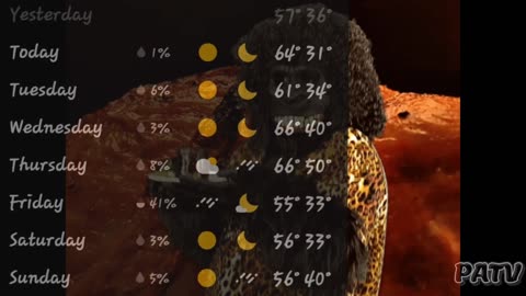 Weather Report Indianapolis - November 13 - 19 , 2023 #dopplereffect