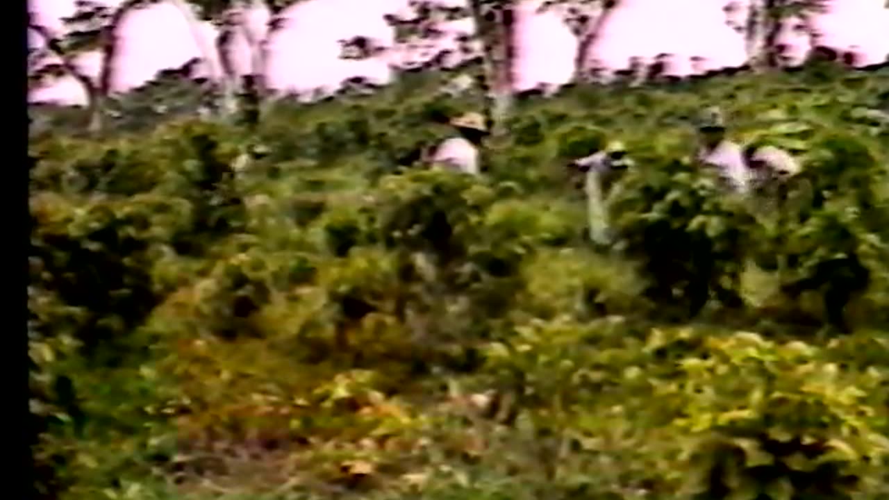Nicaraguan Historical Documentary: "Testimonio... Asi Avanzamos" (1980)