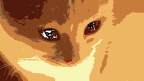 Easy Cat Drawing Tutorial for Beginners