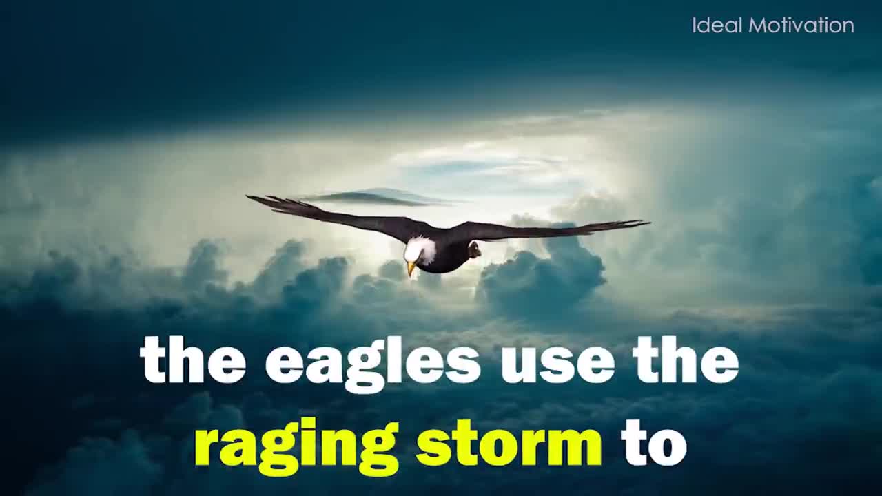 The Eagle Mentality - Best Motivational Video