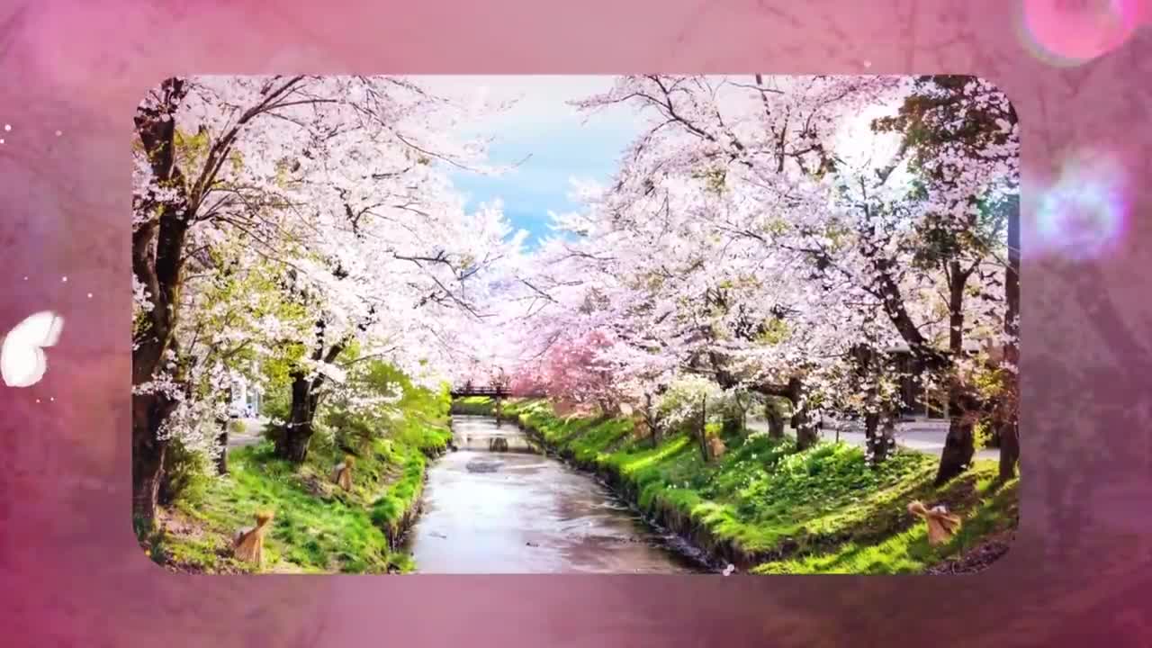 CHOPIN - SPRING WALTZ ( PAUL DE SENEVILLE - MARIAGE D'AMOUR )