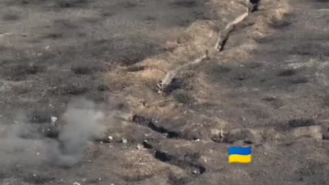 +18 Disturbing Video showing dead and wounded