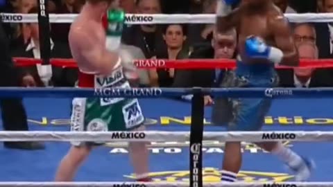 Floyd Mayweather vs canelo