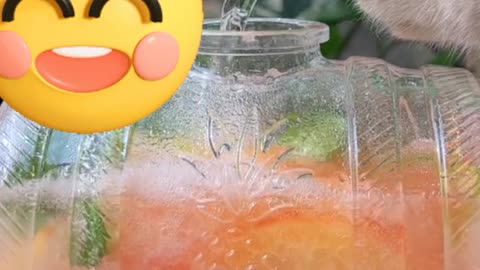 Cat cheif making peach juice