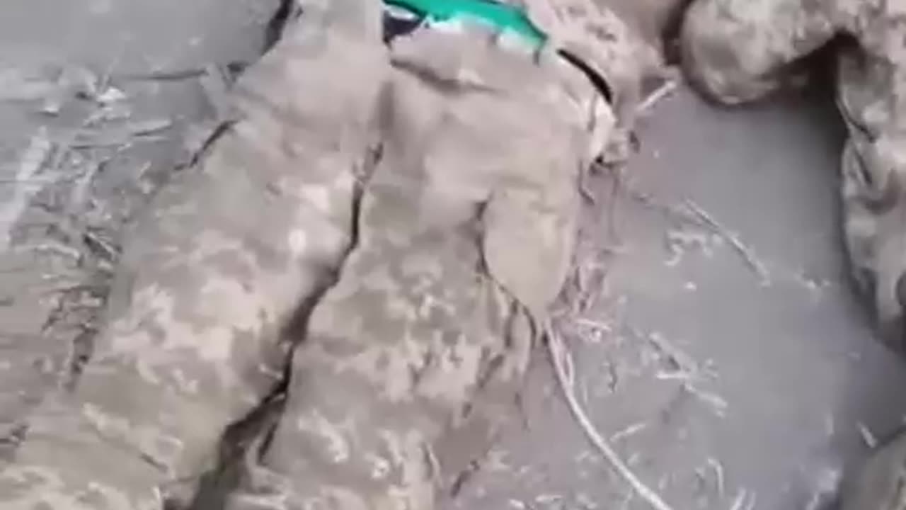 Ukrainian soldiers taken prisoner