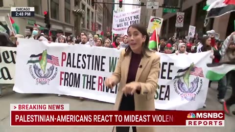 Palestinian-Americans hold rally in Chicago-