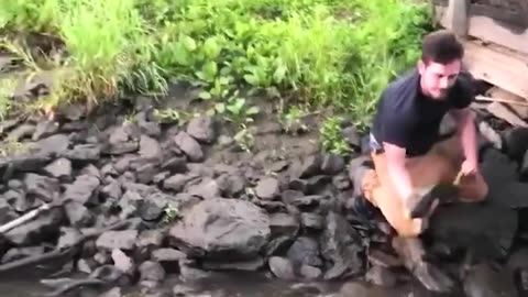 Kind man rescues stranded fish from shallow water😊👍