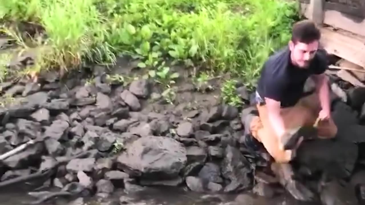 Kind man rescues stranded fish from shallow water😊👍