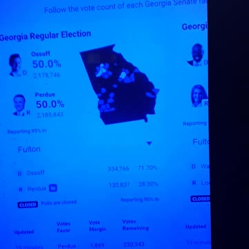INTERNATIONAL WIDE ELECTION FRAUD VOTING MACHINE CRIME, GEORGIA RUNOFF SHAM ELECTION CRIME 194