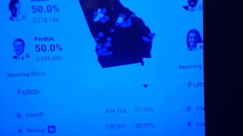 INTERNATIONAL WIDE ELECTION FRAUD VOTING MACHINE CRIME, GEORGIA RUNOFF SHAM ELECTION CRIME 194