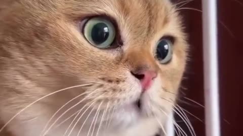 Angry young man 😜