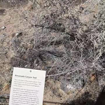 Rinconada Canyon Trail and the Petroglyph carvings in the rock Albuq,NM