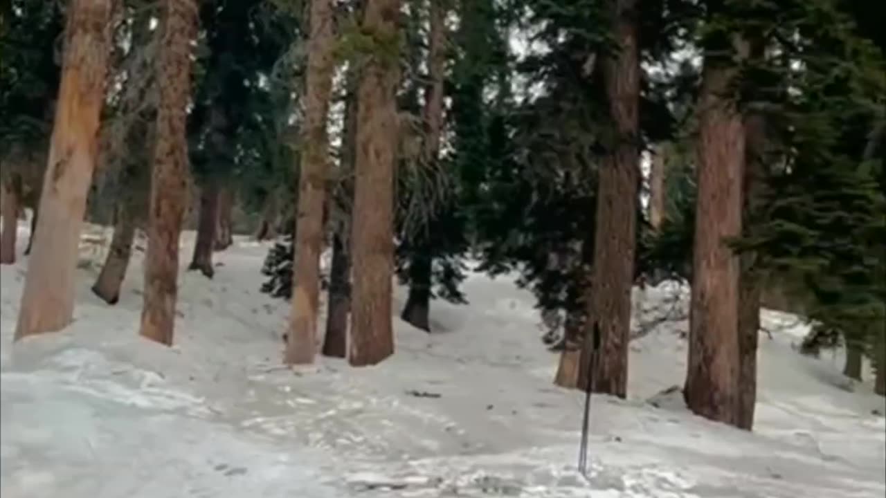 Skiing in Gulmarg kashmir