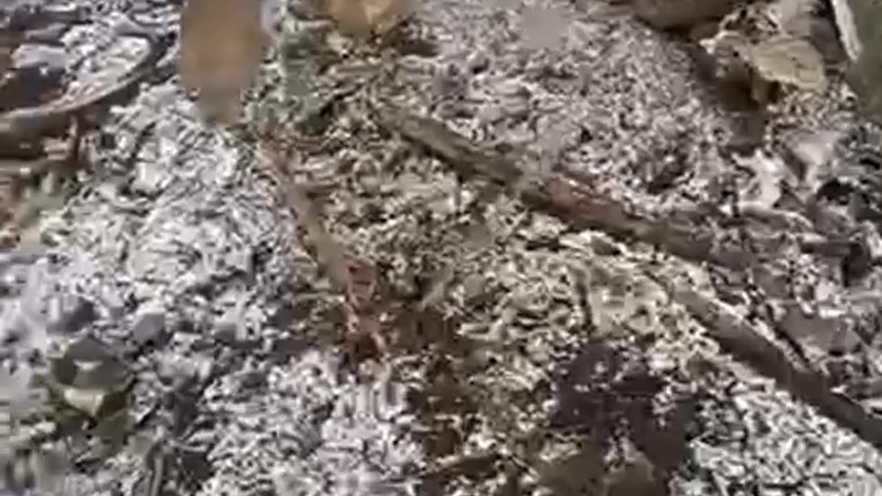 Another damaged Ukrainian vehicle somewhere on the fields of a special military operation