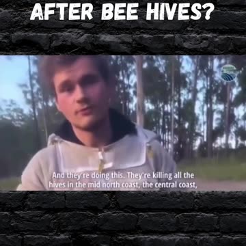 Anyone know if that is true?