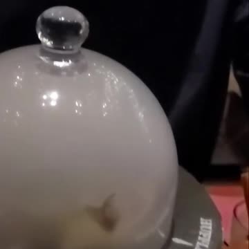 Discovering Harry Potter Japanese Soup: My Delicious Mistake! #traveljapan