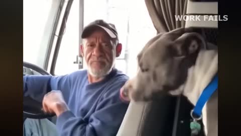 TOTAL IDIOTS AT WORK 2022 #15 | FUNNY FAILS | Bad Day at Work , Idiots at Work & idiots in cars