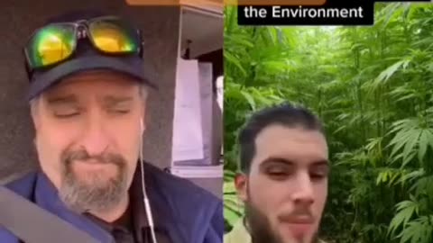 Why hemp is demonized by climate change elites