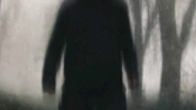 The Paranormal Primos