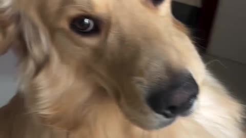 The coverup is always worse than the actual crime