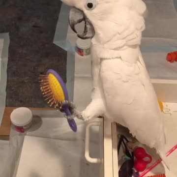 Stay in school kids or you end up angry like this guy