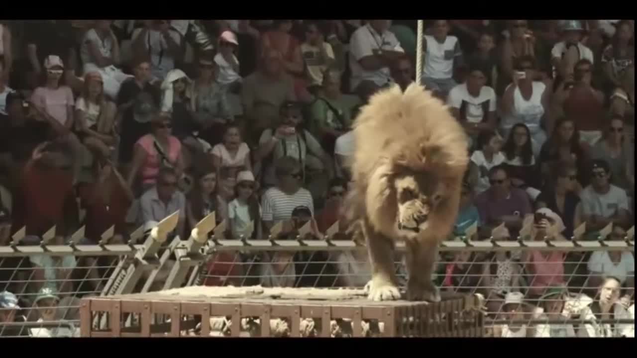 The Greatest Show on Earth Puy du Fou France