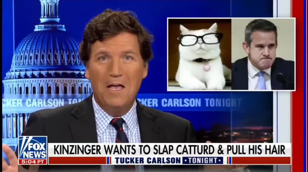 CATTURD MADE IT ON TUCKER!!!😂😂😂