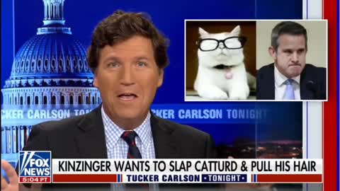 CATTURD MADE IT ON TUCKER!!!😂😂😂