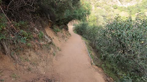 Mount Wilson trail