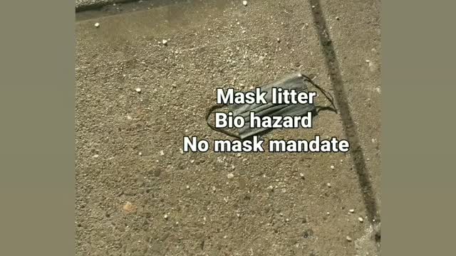 No mask mandate no vax mandates mask litter box