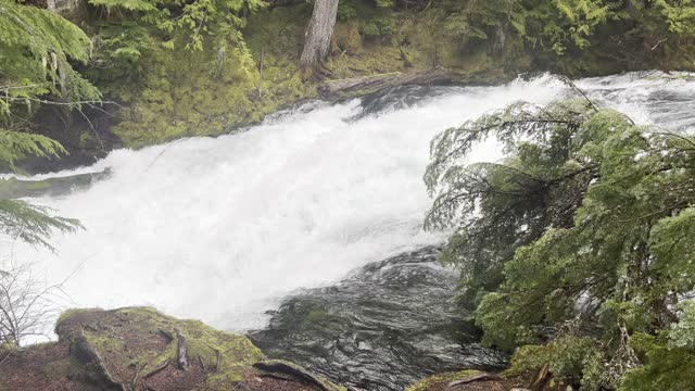 An Absolutely EPIC River Hike – Sahalie Falls & Koosah Falls Loop – 4K