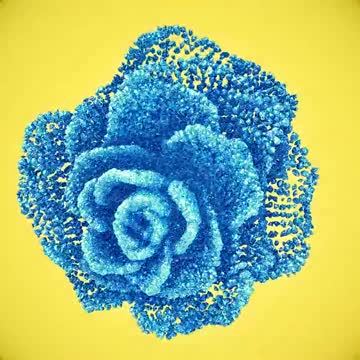 Blue Rose Coalescing McAfeeAfterlife JUNE 7 2022 7:54pm