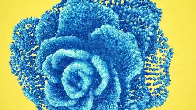 Blue Rose Coalescing McAfeeAfterlife JUNE 7 2022 7:54pm