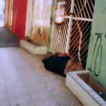 Zona Norte Doutor Zuquim - Santana - 03 de agosto - 04