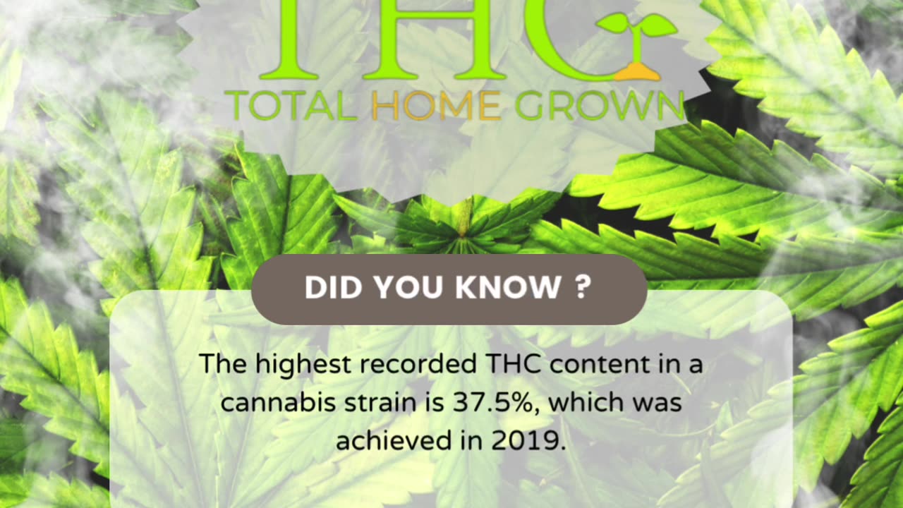 Highest THC so far...