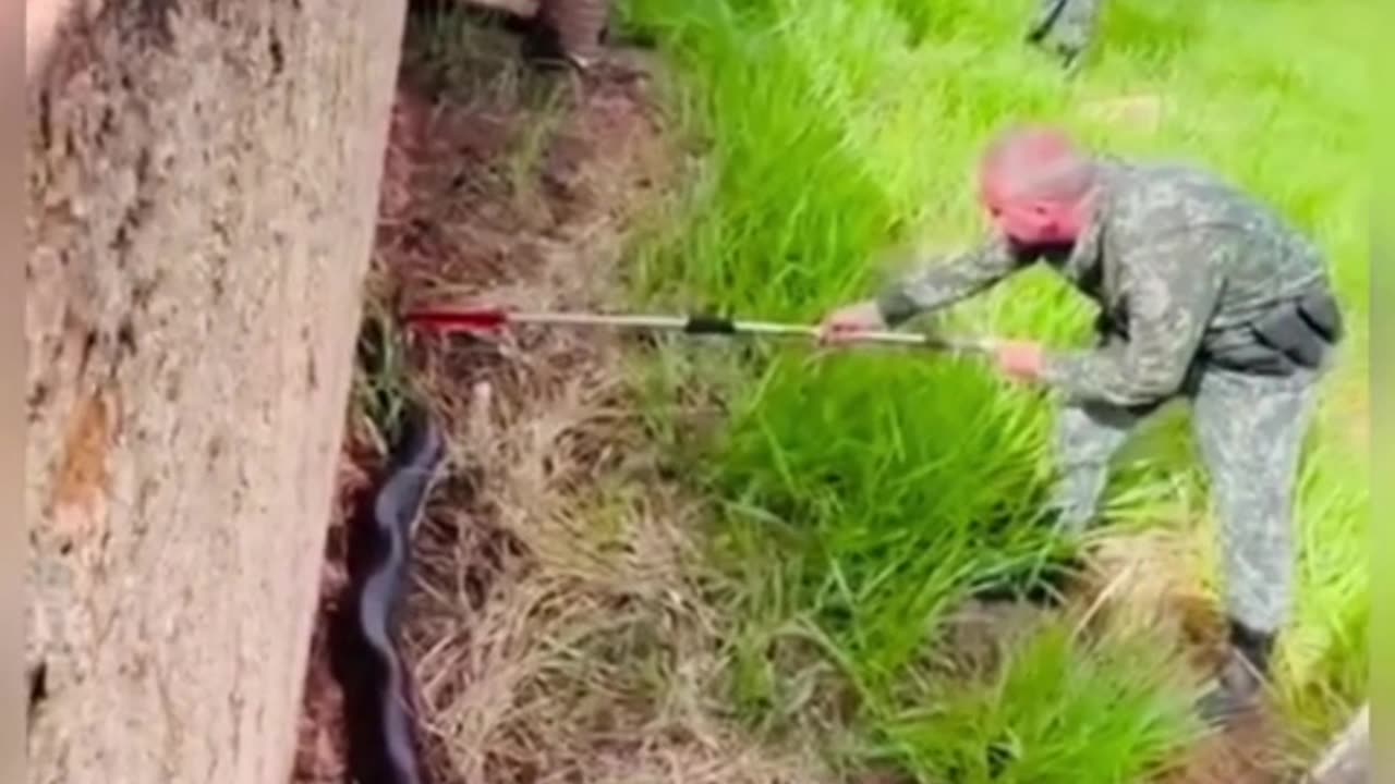 this soldier caught a very big snake