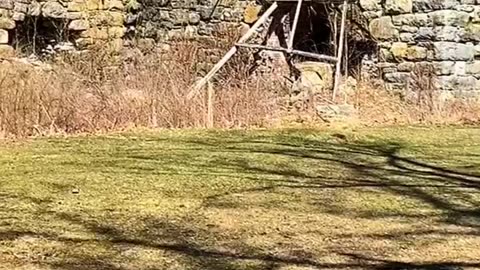 OLD IRON AND COAL FURNACES!