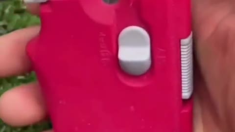 This is a beautiful and charming water-dwelling species