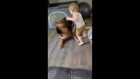 My son is playing with my pet dog