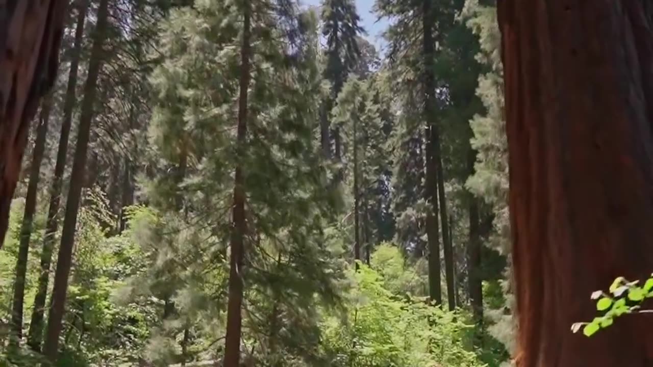 Beautiful view