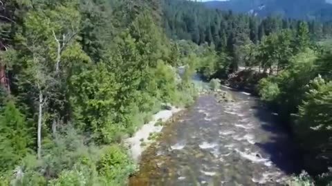 Sacramento River Silent Running