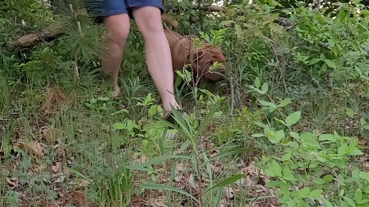 Aurora's May 2023 Spring Word Poem Trick Challenge Virtual