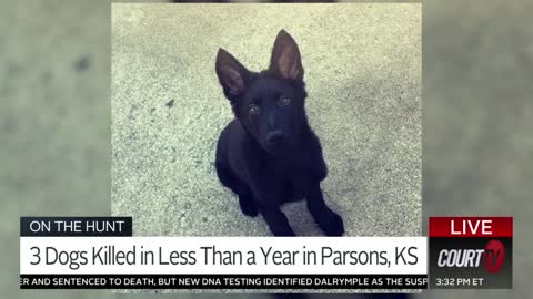 Dogs killed in KS - Court TV - 01-14-22