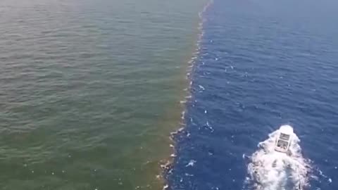 Video showcasing where the Mississippi River and Gulf of Mexico meet