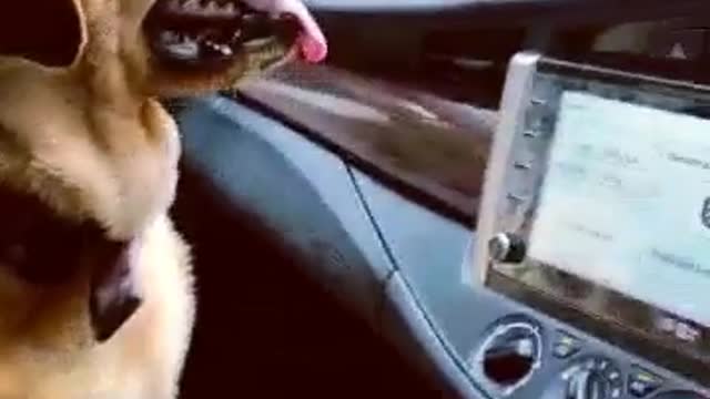 Bhairo on drive in ennova carπππ