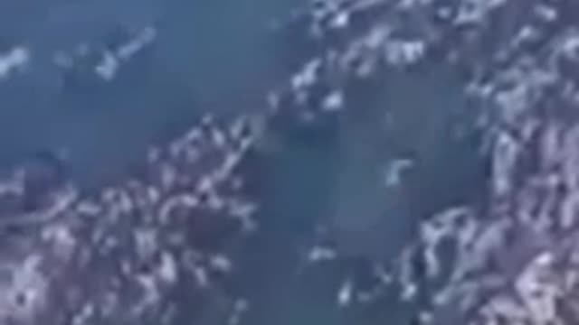 Five Russians died in a fire plane crash in Turkey.