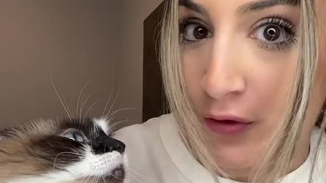 How I became a cat mom overnight