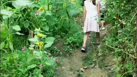 Enjoy beautiful nature with rural life